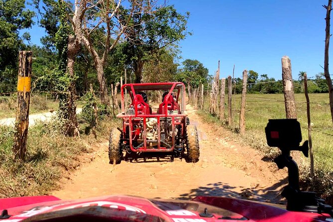 Buggy Adventure: Macao Beach & Cenote Experience - Cenote Taina: Cooling Off in Crystal-Clear Water