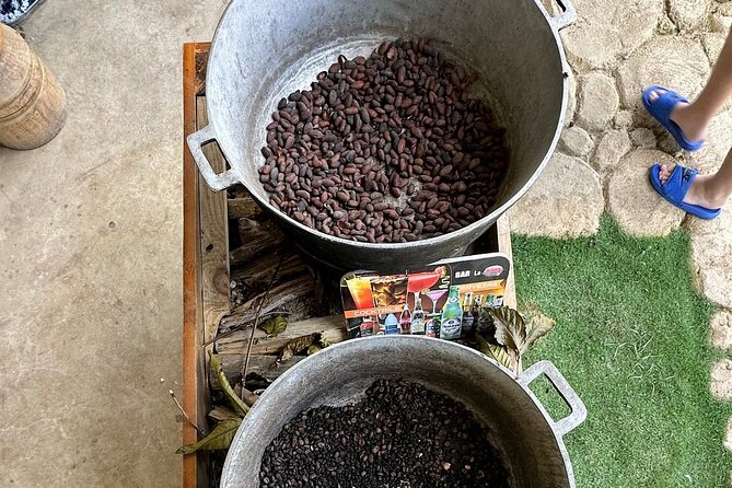 Buggy Adventure Tour with Chocolate and Coffee in Punta Cana - Price and Value: $45 for a Full Half-Day of Dirt and Views