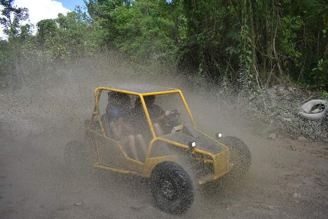 Buggy Excursion in Puerto Plata - Quick hits before you go