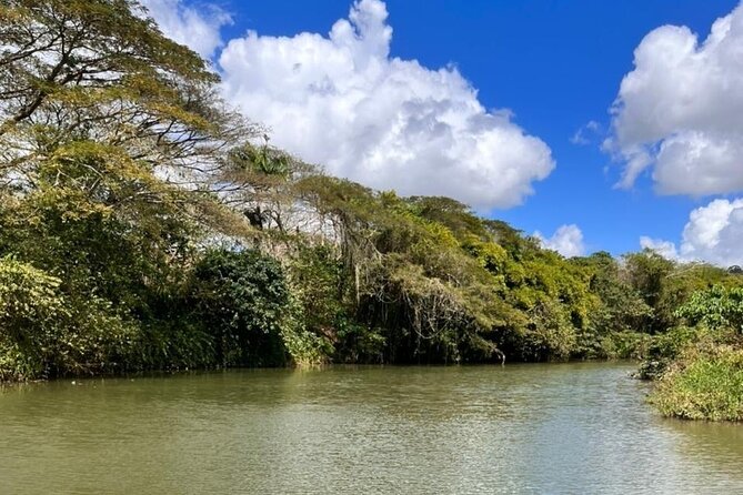 Buggy Expedition, Norwegian SKY Cruise Passenger from La Romana - Chavón River Swim: Movie-Spot Scenery With Real Water Time