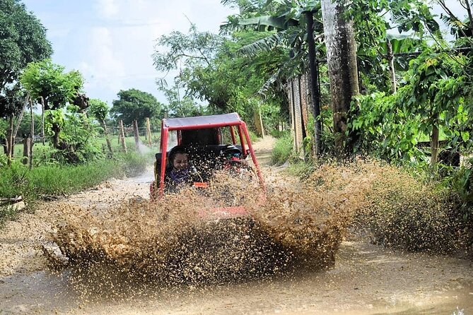 Buggy Off-Roading with Chocolate and Coffee Tasting in Punta Cana - Chocolate and coffee tastings: included, but plan your budget for comfort