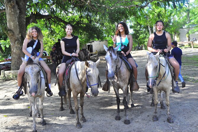 Buggy Ride, Horseback, Zipline,Eco Farm,Macao Beach - Zipline Between Trees: The Adrenaline Beat After the Dirt