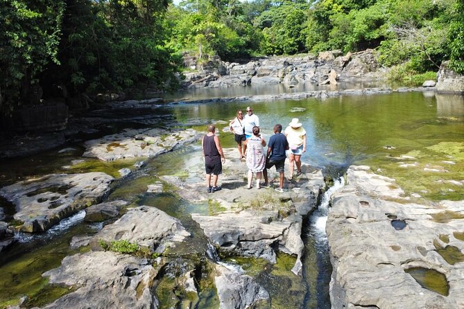 Buggy Ride, Horseback, Zipline,Eco Farm,Macao Beach - Price and Value Check: Why This Often Costs Less Than Booking Pieces