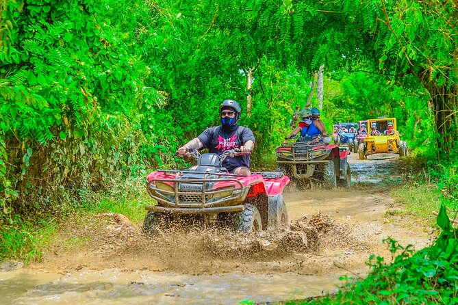 Buggy Ride Into the jungle with cave coffee & chocolate tasting - Stop on the Way: Typical Dominican House, Tobacco, Coffee, and the Sales Pulse