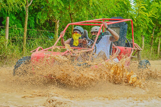 Buggy Ride Into the jungle with cave coffee & chocolate tasting - Coffee and Chocolate Tasting at the Ecological Farm: What You Actually Get