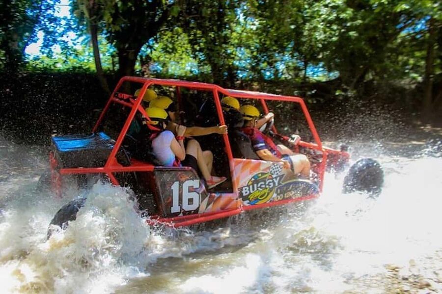 Buggy Tour Excursion in Taino Bay and Amber Cove Port - Why This Buggy Excursion Feels Right for a Cruise Stop