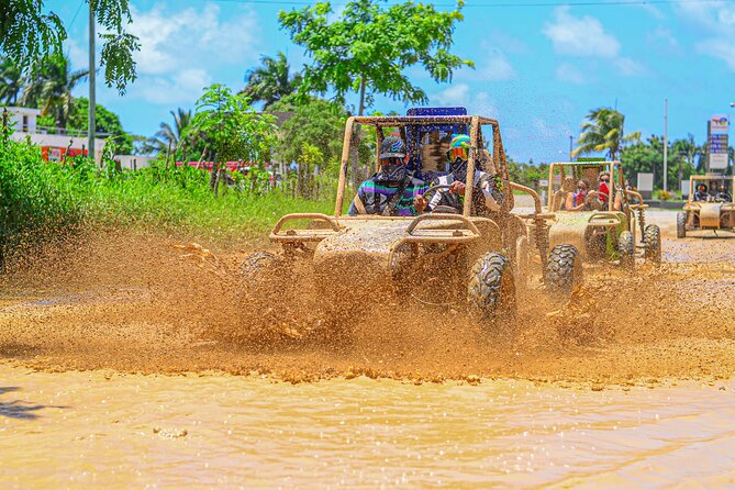 Buggy Tour in Punta Cana - Domitai Park (Manatee Park-style shows) and the quick cultural stop