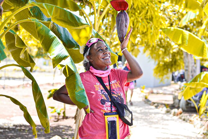 Buggy Tour Punta Cana: MagicalCaves ,Dream Beaches & Culture - What’s included in the $40 price, and what can cost extra