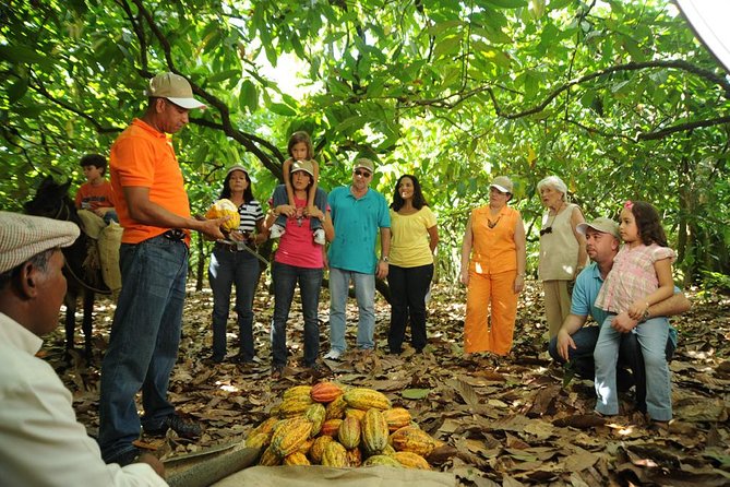 Cacao Plantation and Chocolate Factory Tour- Classic - Key things to know before you go