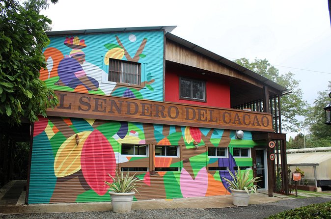 Cacao Plantation and Chocolate Factory Tour- Classic - Practical logistics: timing, group size, and transportation reality