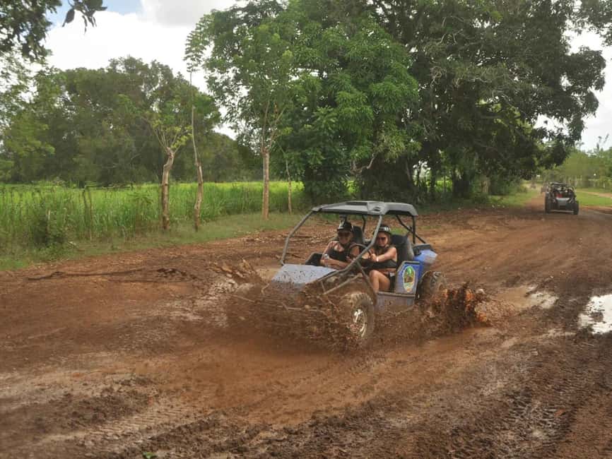 Caribbean Buggy Escape – Bayahibe Jungle & Safari - Key highlights you’ll remember