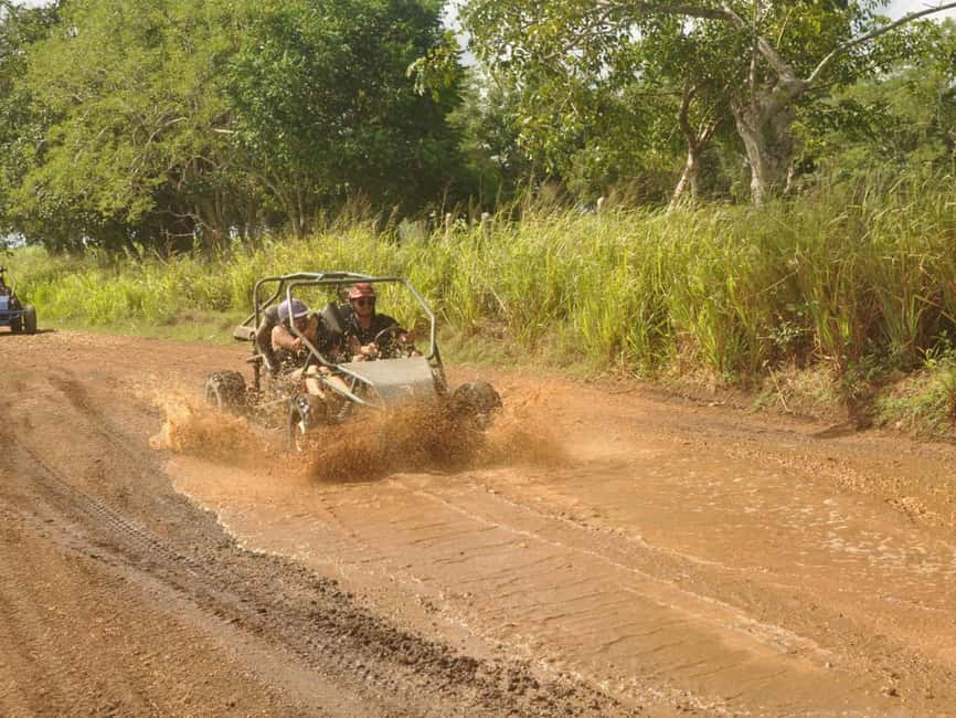 Caribbean Buggy Escape – Bayahibe Jungle & Safari - Conucos and freshly cut sugar cane, rural life made visible