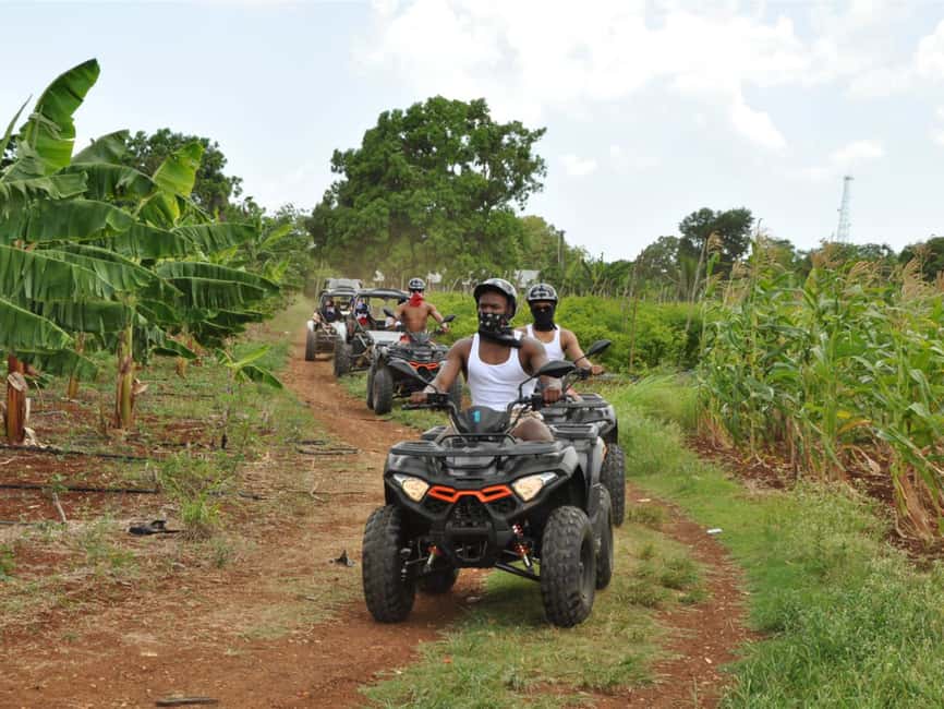 Caribbean Buggy Escape – Bayahibe Jungle & Safari - Should you book this Caribbean Buggy Escape?