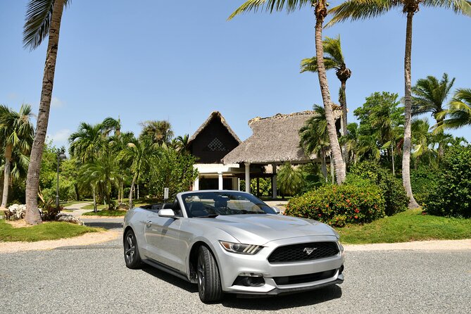 Cars for Rent in Punta Cana - What the best service looks like in the details