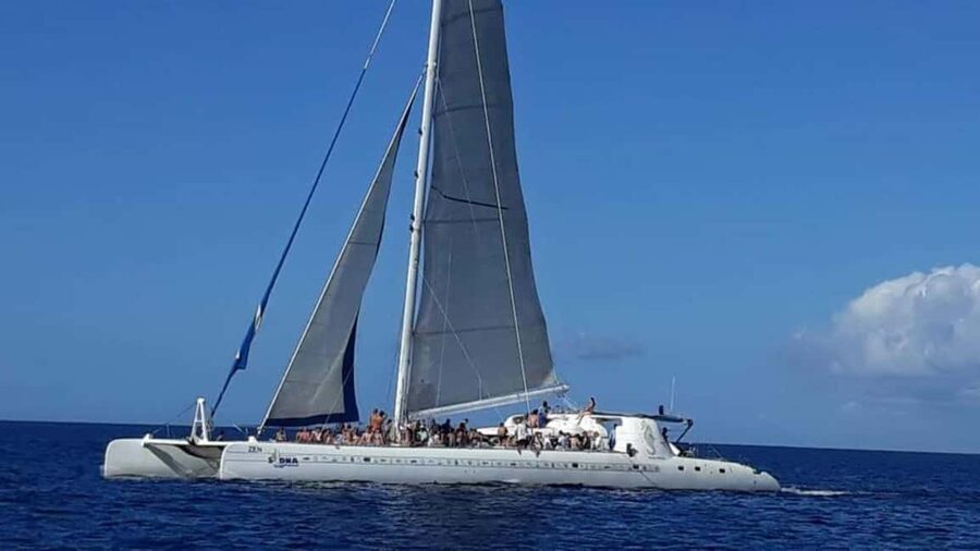 Catalina Island: Day Trip - Best Snorkeling! - Beach time and the buffet lunch on Catalina Island