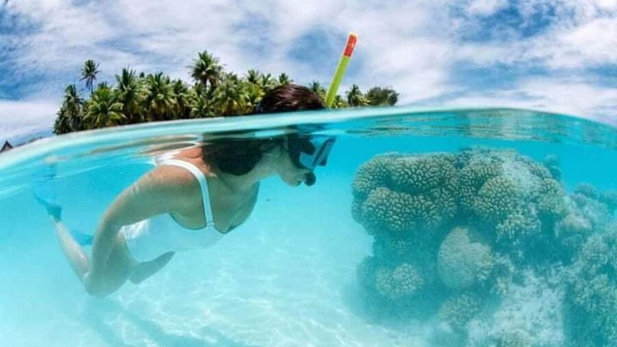 Catalina Island: Day Trip - Best Snorkeling! - How the route from Bávaro to Catalina Island usually works