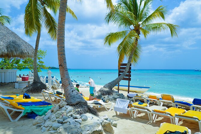 Catalina Island DayTrip + Great Snorkeling - Why Isla Catalina and Playa Bayahibe are a smart one-day mix
