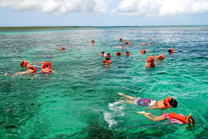 Catalina Island DayTrip + Great Snorkeling - Open bar and buffet lunch: value that also affects how you feel at the end of the day