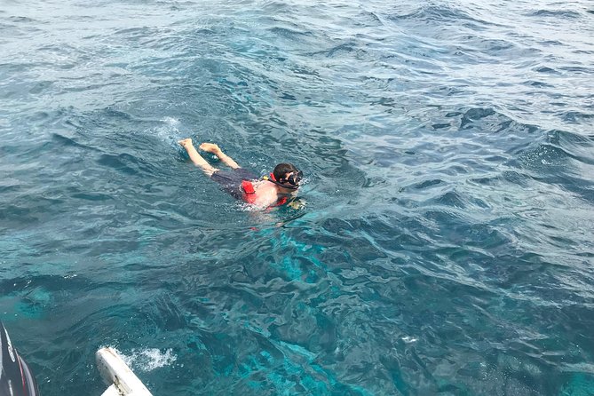 Catalina Island DayTrip + Great Snorkeling - Price and value: what $90 buys you, and what you should budget around