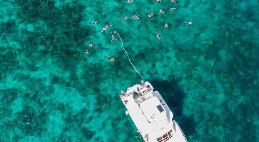 Catalina Island Full-Day Snorkeling + Lunch from Punta Cana - Should you book this Catalina Island Full-Day Snorkeling + Lunch?