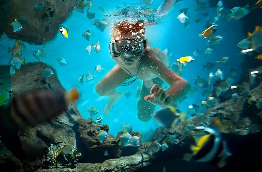 Catalina Island Full-Day Snorkeling + Lunch from Punta Cana - From pick-up to Rio Cumayasa, you’re moving early