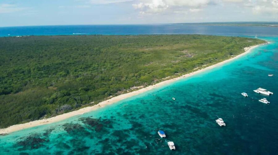 Catalina Island Full-Day Snorkeling + Lunch from Punta Cana - Catalina lunch and open bar: what you can plan to eat and drink