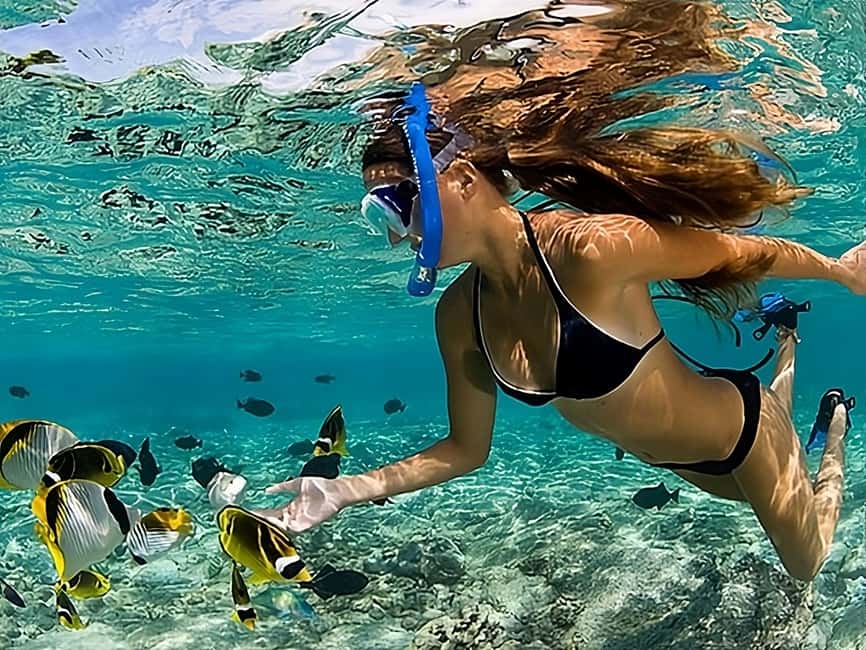 Catalina Island Full-Day Snorkeling + Lunch from Punta Cana - Is $98 good value for speedboat, snorkeling, and lunch?
