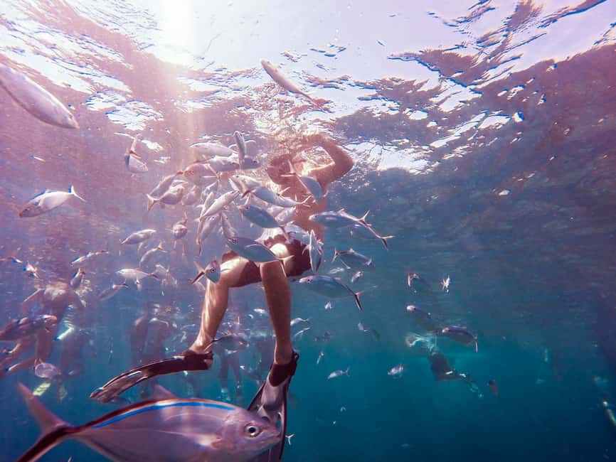 Catalina Island Full-Day Snorkeling + Lunch from Punta Cana - Speedboat to Catalina Island, and why motion sickness matters