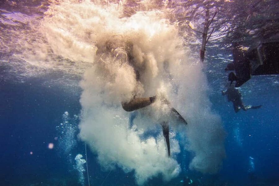 Catalina Island Scuba Diving Tour from Punta Cana - Who should book this Catalina Island scuba tour?