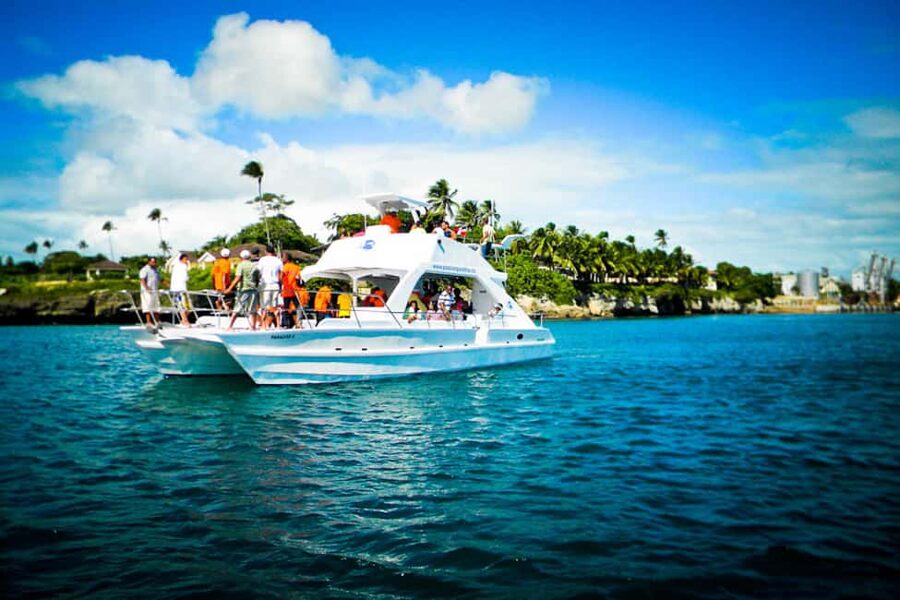 Catalina Island Scuba Diving Tour from Punta Cana - How the day starts: Punta Cana to La Romana (and why it matters)