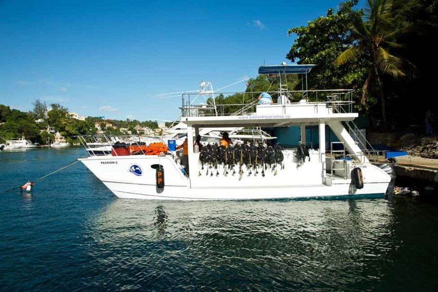 Catalina Island Scuba Diving Tour from Punta Cana - Underwater time at The Wall: what you should expect to see
