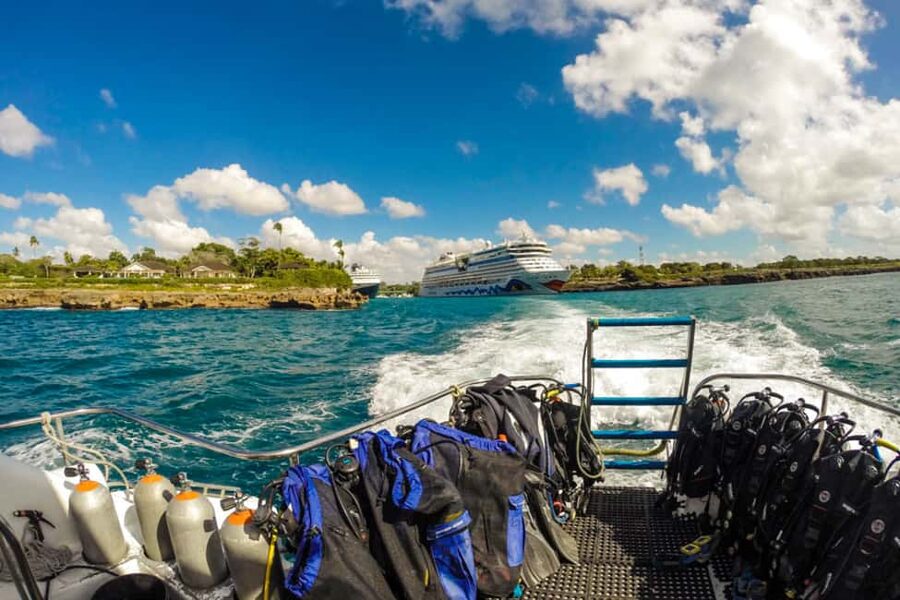 Catalina Island Scuba Diving Tour from Punta Cana - Snorkeling and free time: how to use the 4-hour break