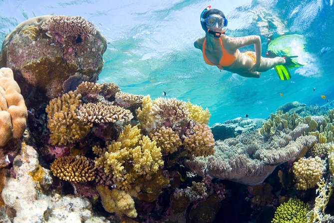 Catalina Island Snorkel Excursion from Punta Cana - Key Points That Matter Before You Go