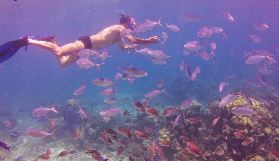 Catalina Island snorkeling Dominican Republic - Cotubanama National Park reef stop: where you’ll actually see marine life