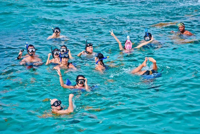 Catalina Island & Snorkling Tour Full Day All Inclusive - Key Things I’d Watch Before Booking