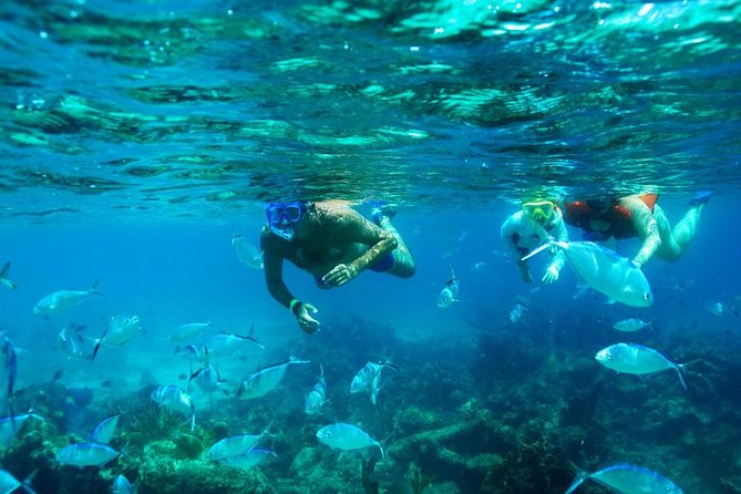 Catamaran Booze Cruise And Snorkeling Punta Cana - Adults Only - Key Highlights You’ll Actually Feel on This Cruise