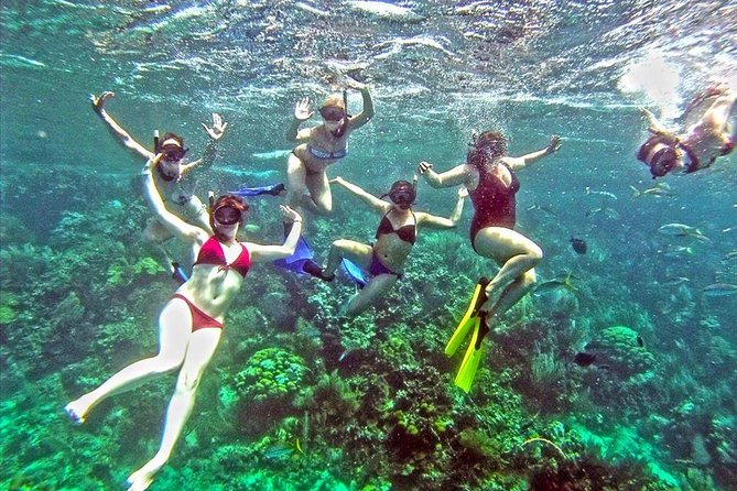 Catamaran Catalina Island Day Trip with Lunch - Getting to La Romana: The Transfer Day You Cannot Skip