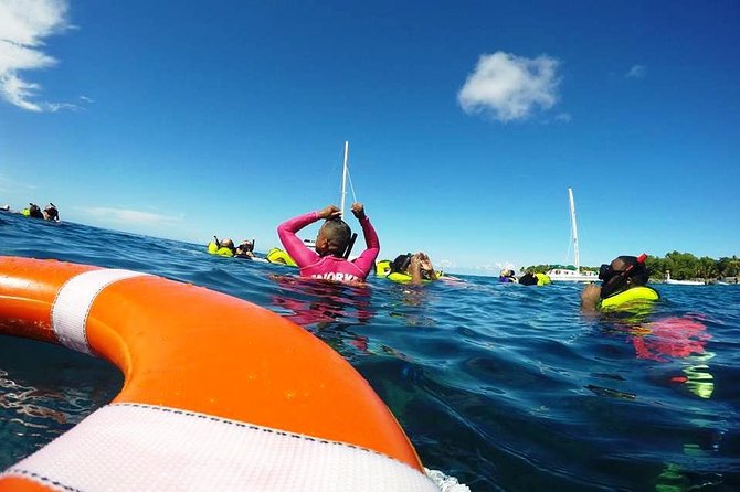 Catamaran Day Trip, Snorkeling & Sailing Excursion - Sailing from Sosua Toward Ocean World Marina: Views, Music, and the Fun Factor