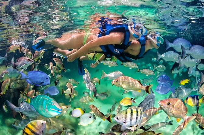 Catamaran party in Punta Cana with open bar, music and more - What You Get for $58 in Punta Cana