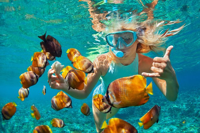 Catamaran Snorkeling All-Inclusive Day-Trip - Key things to know before you go