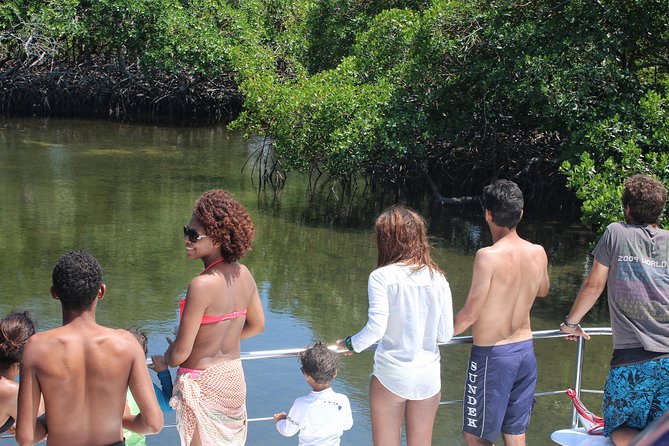 Cayo Arena Catamaran Cruise from Puerto Plata with Lunch - Cayo Arena’s Ocean Sandbar Moment, the Champagne Highlight
