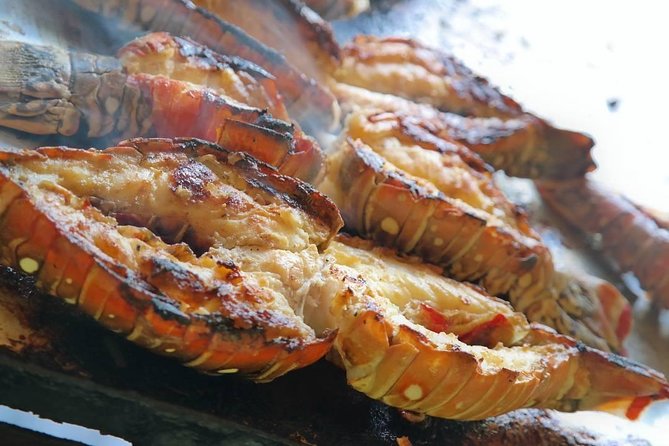 Cayo Arena Catamaran Cruise from Puerto Plata with Lunch - Mangroves and Punta Rucia, Local Flavor Beyond the Beach