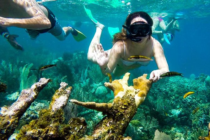 Cayo Arena Day Trip from Puerto Plata - Snorkeling and swimming in clear water, how to make the most of it