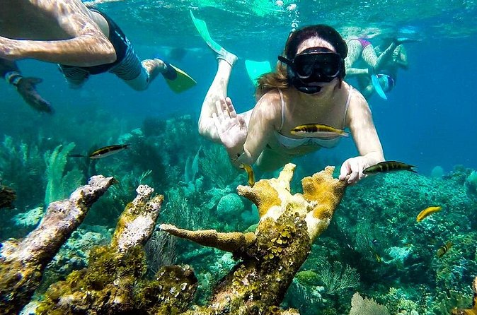 Cayo Arena Day Trip from Puerto Plata - Pickup reliability and how to avoid morning stress