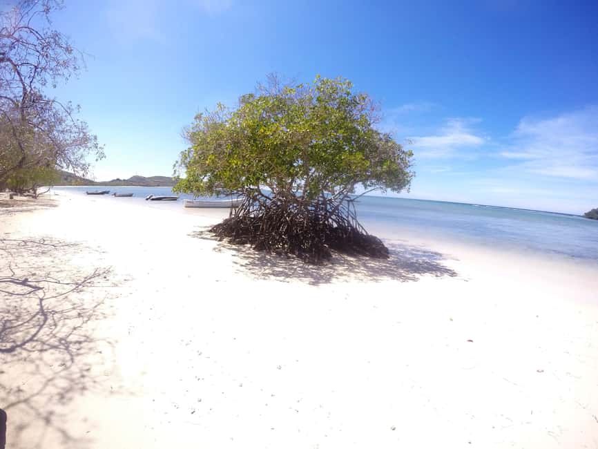 Cayo Arena: Paradise Island and Mangroves Tour - Key Things I Think You’ll Care About