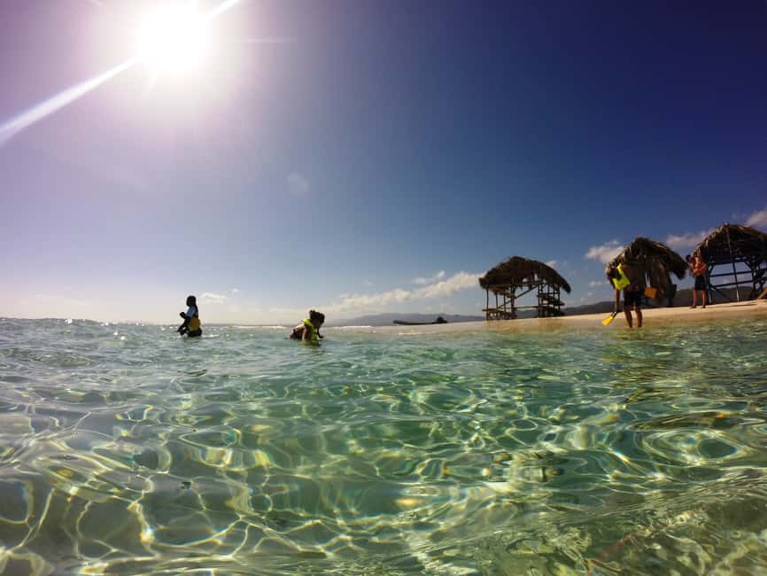 Cayo Arena: Paradise Island and Mangroves Tour - Drinks, Fresh Fruit, and Lunch Built for a Day Trip