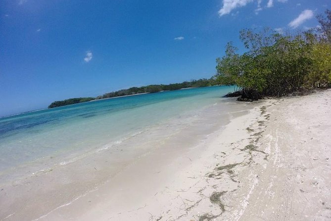 Cayo Arena, Paradise Island Tour - Paradise Island views plus a mangrove speedboat pass