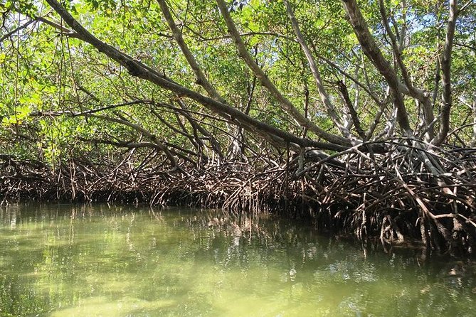 Cayo Arena, Paradise Island Tour - Punta Rucia lunch: fueled, not fancy