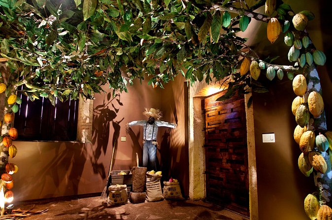 Chocolate Tour - KahKow Experience - What happens during the cacao history and chocolate-making lesson