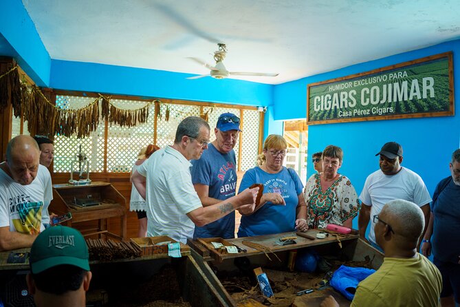 City Tour & Half-Day Safari Experiences - Dominican faith context: the Altagrace Basilica story